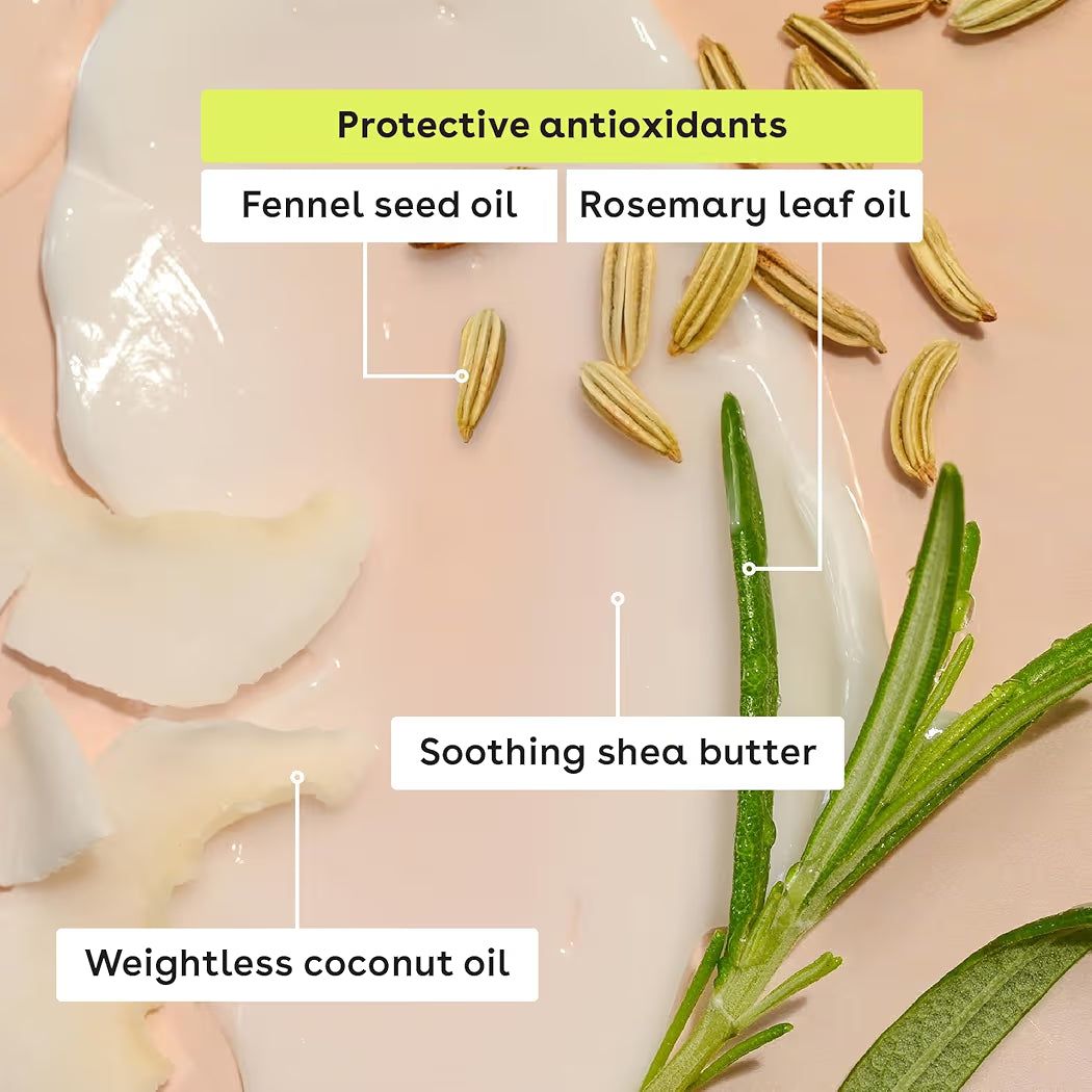 HAMYNAT eos lip balm ingredients including shea butter, coconut oil, fennel seed oil, and rosemary leaf oil.