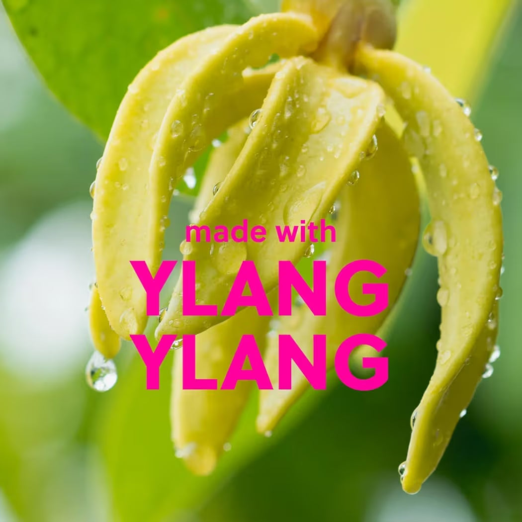 HAMYNAT Tree Hut Shea Sugar Scrub featuring a vibrant yellow Ylang-Ylang flower with water droplets