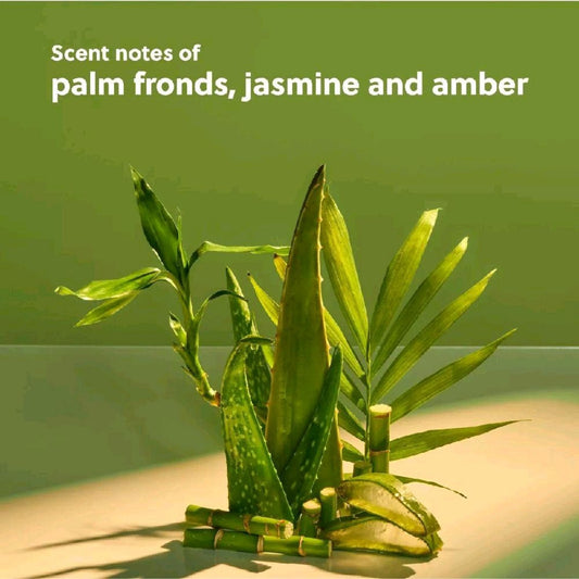 Tree Hut Palm Grove scent notes